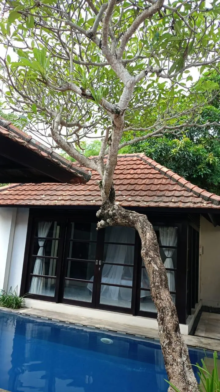 Villa Kubu Pratiwi - 500m from Echo Beach, Canggu [Villa 2], 4-bed villa for rent in Canggu – photo 10 of 10