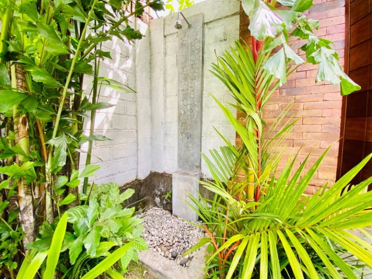 3 Bedroom Villa for Yearly Rent in Canggu, 3-bed villa for rent in Canggu – photo 8 of 15
