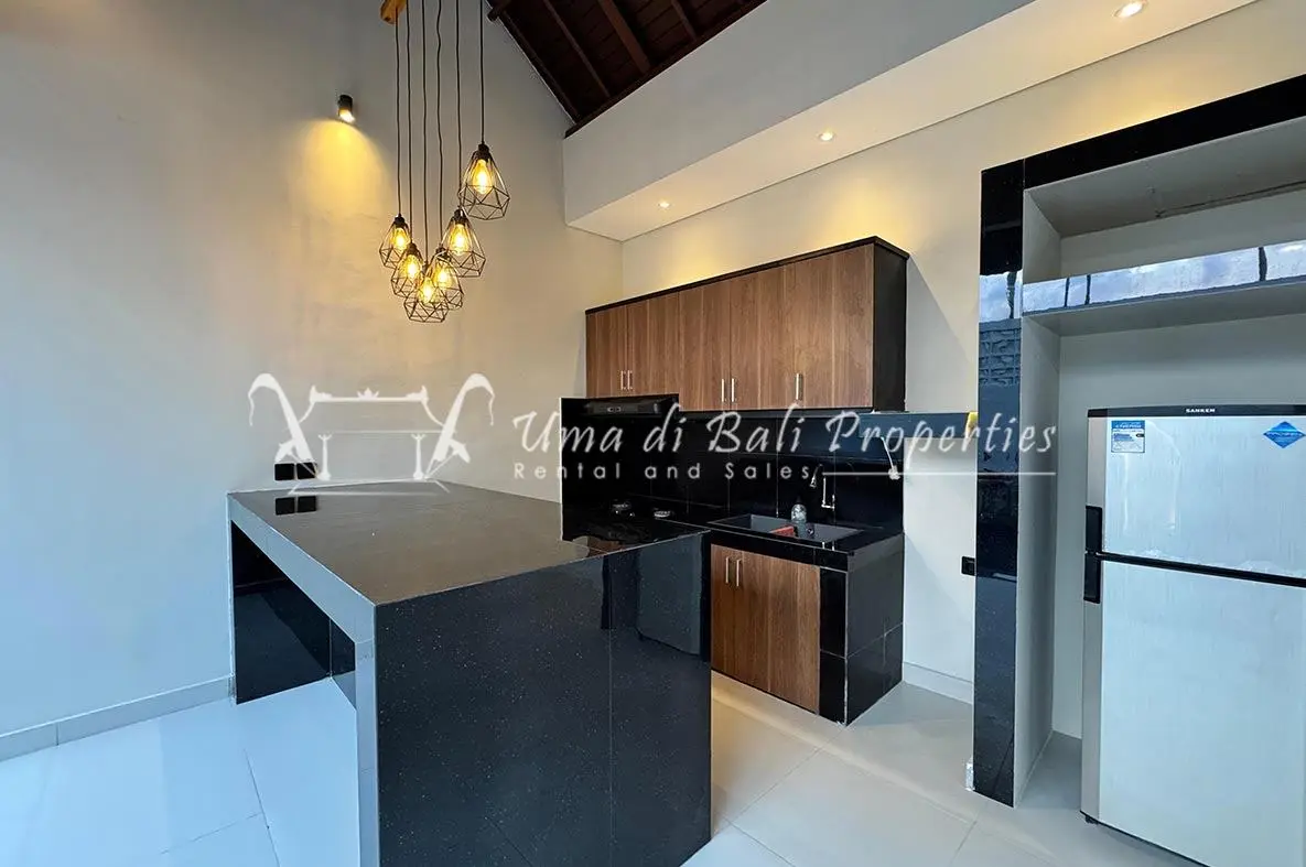 2BR Villa for Rent at Umalas, 2-bed villa for rent in Canggu – photo 4 of 14