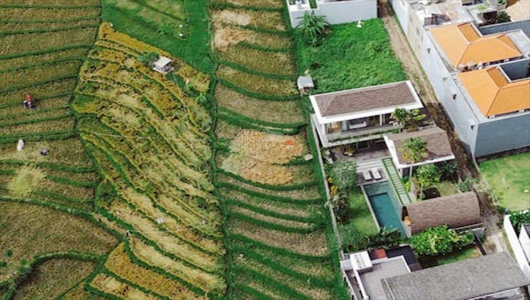 Villa For Rent 4 Bed In Canggu,Badung Bali, 4-bed villa for rent in Canggu – photo 8 of 15