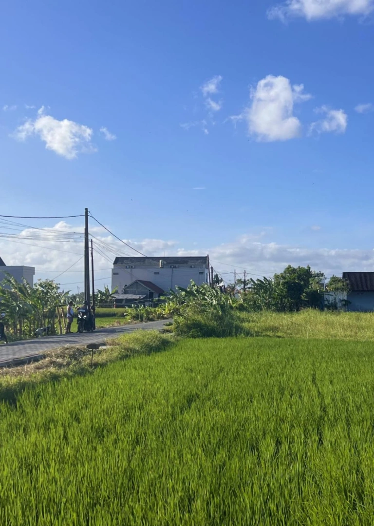 *Brand New 2BR Villa in Peaceful Ricefield Area at jln Bedugul Canggu – Be the F, 2-bed villa for rent in Canggu – photo 12 of 12