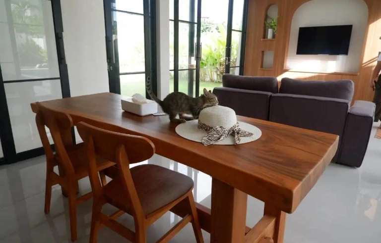 3BR Villa with Big Garden Padonan, Canggu, Quite Area, 3-bed villa for rent in Canggu – photo 3 of 15