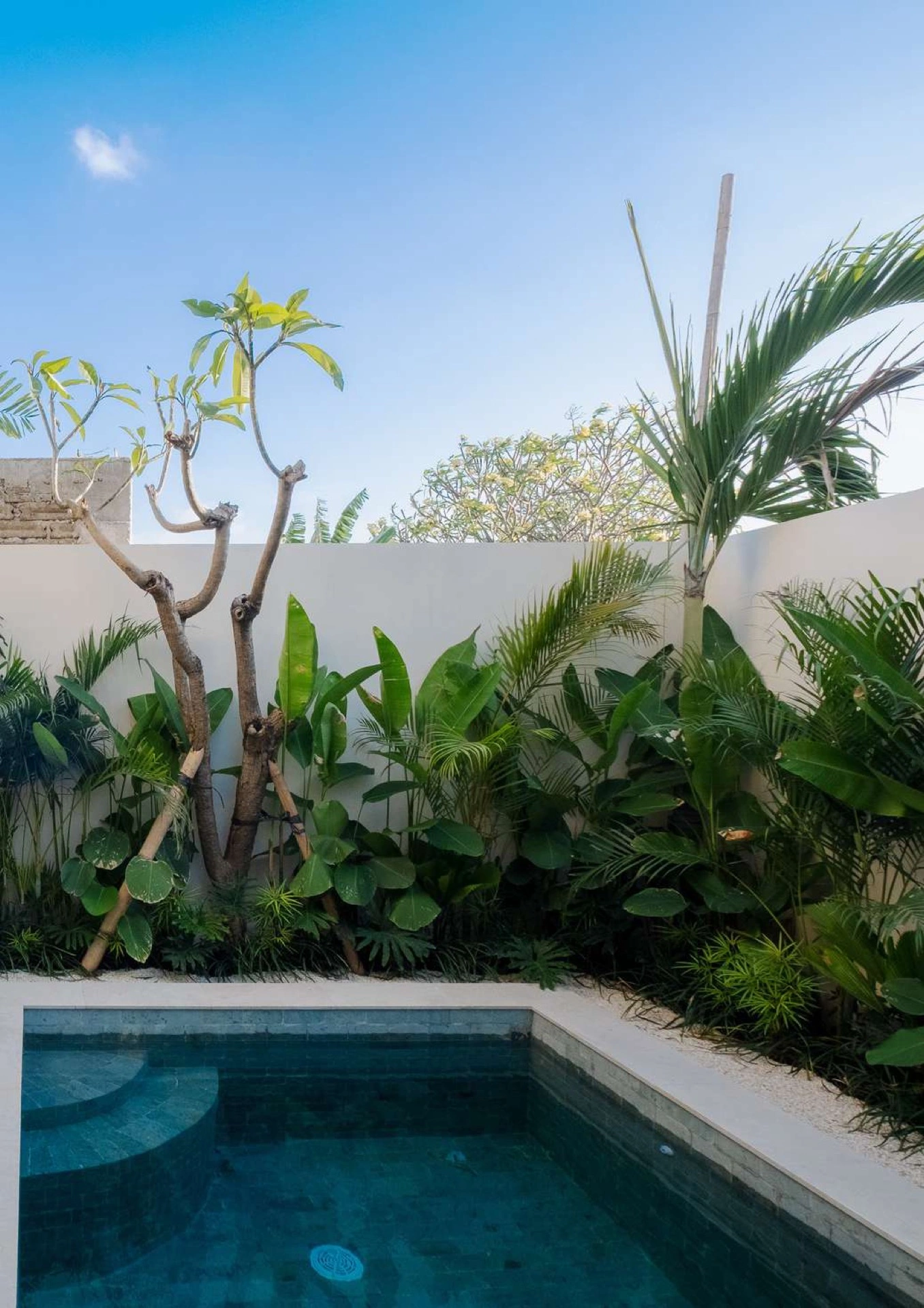 Modern 1BR Townhouse w/ Private Plunge Pool, 1-bed villa for rent in Ubud – photo 6 of 9