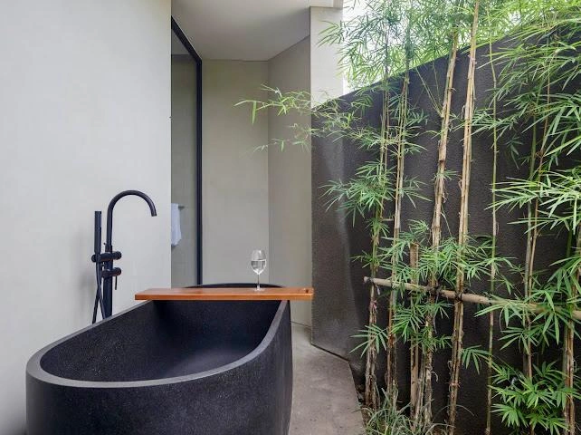 Luxury 2BR Villa in Canggu – Padonan, 2-bed villa for rent in Canggu – photo 8 of 15