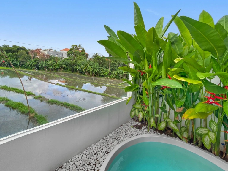 Villa Inhale By Local Property Team, 1-bed villa for rent in Canggu – photo 4 of 15
