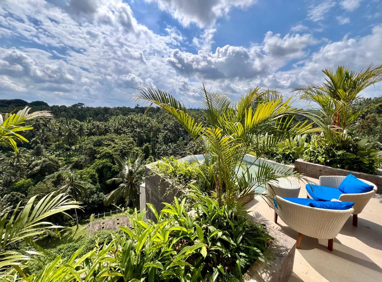 Refined 1BR Villa w/ River View and Sunset Views, 1-bed villa for rent in Ubud – photo 4 of 15