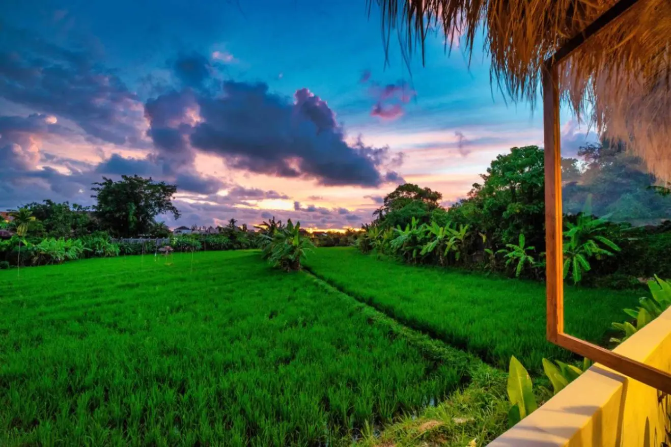 PRICE DROP!! 3BR Rice Field Villa, 3-bed villa for rent in Canggu – photo 9 of 15