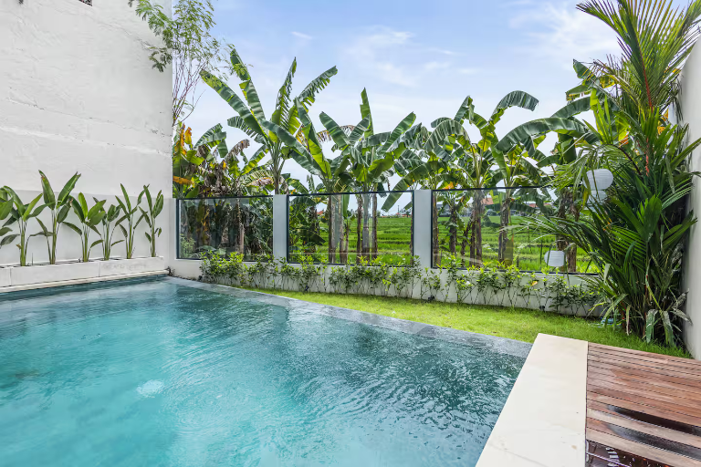 3BR Pool Villa with Rice Field Views in Berawa, Canggu, 3-bed villa for rent in Canggu – photo 5 of 15
