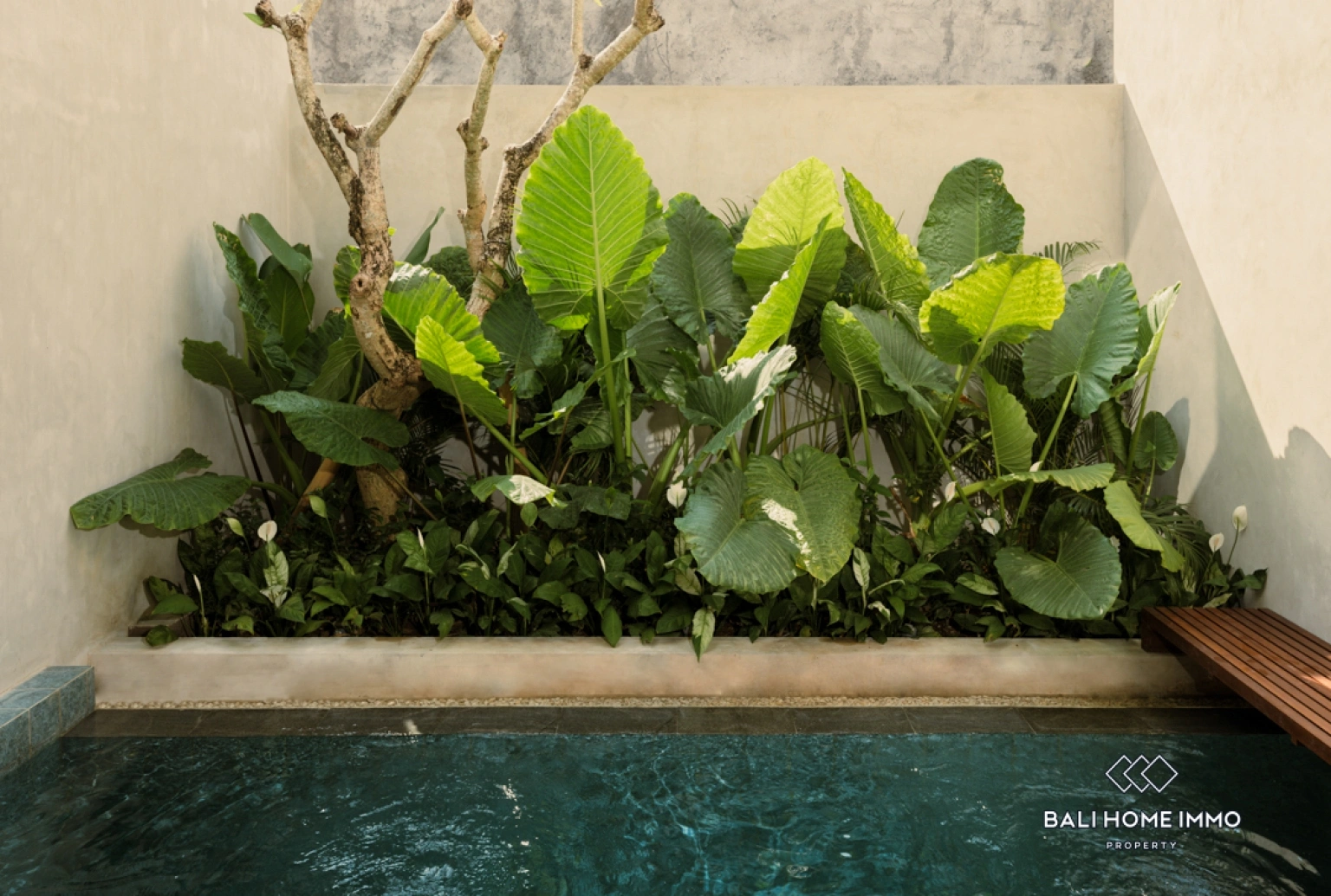 2 Bedroom Villa for Rent in Bali Canggu Babakan, 2-bed villa for rent in Canggu – photo 10 of 10