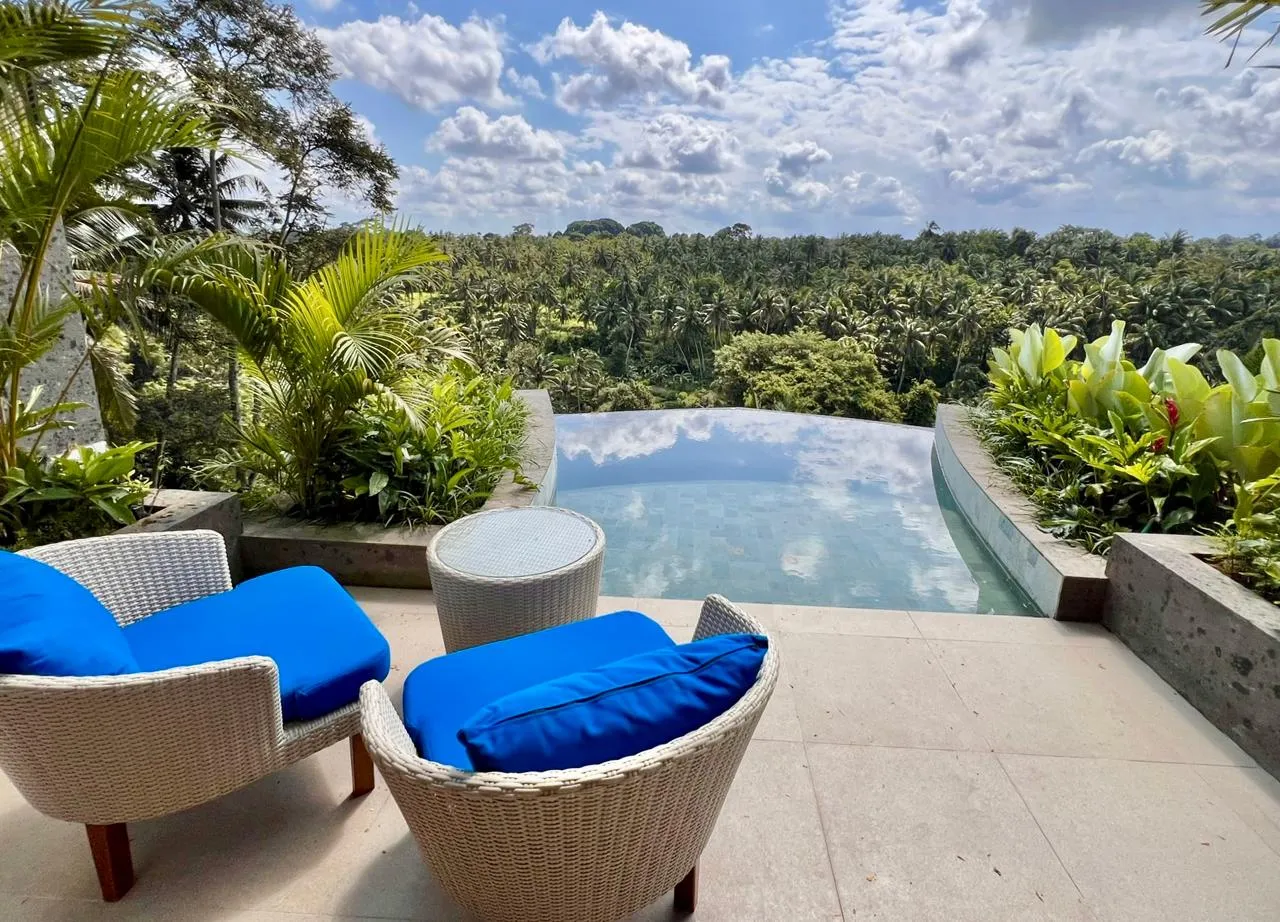 Refined 1BR Villa w/ River View and Sunset Views, 1-bed villa for rent in Ubud – photo 5 of 15