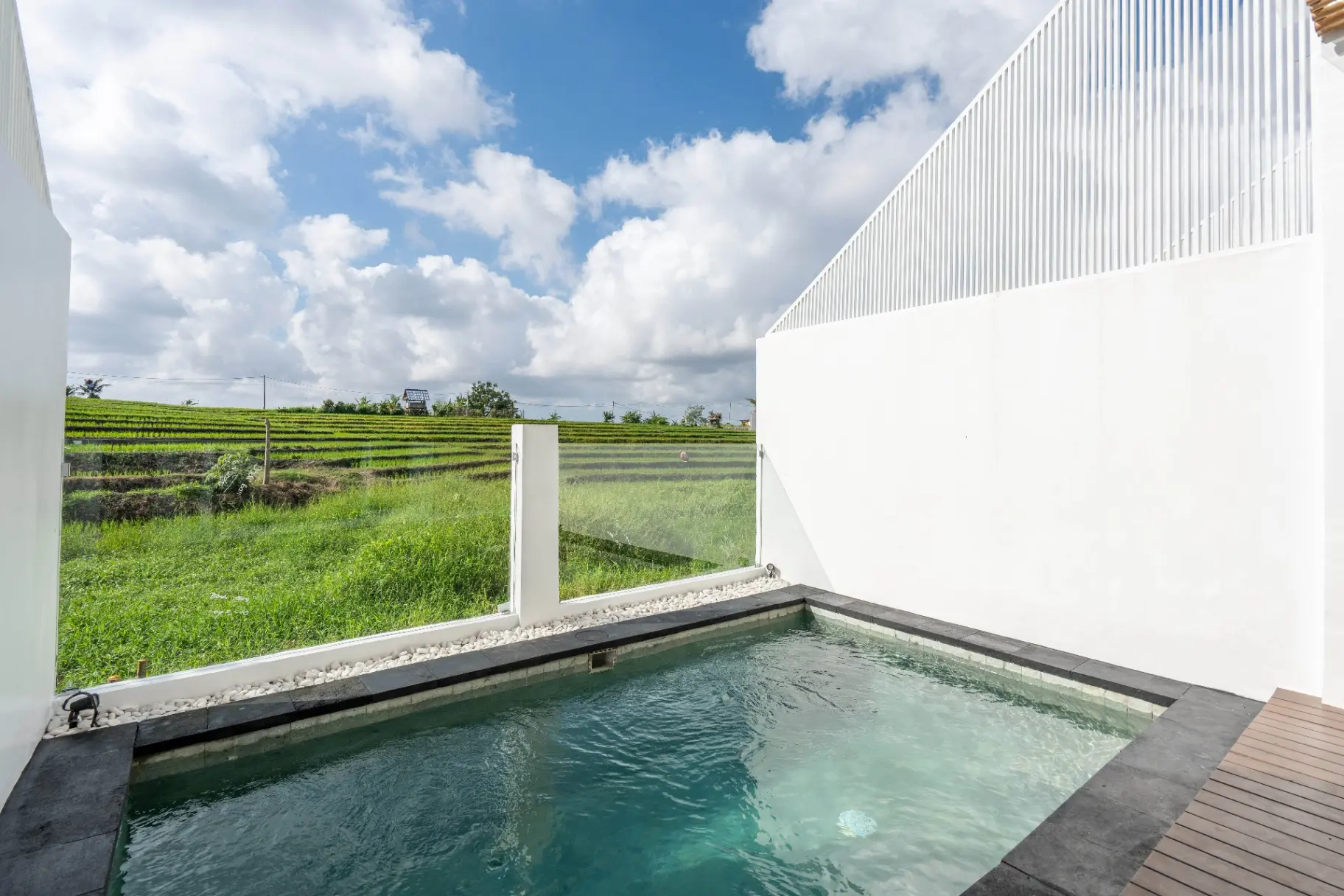 Sunrise Bliss #13 RICE FIELD VIEW – Modern 2BR Pool Villa, 2-bed villa for rent in Canggu – photo 6 of 15