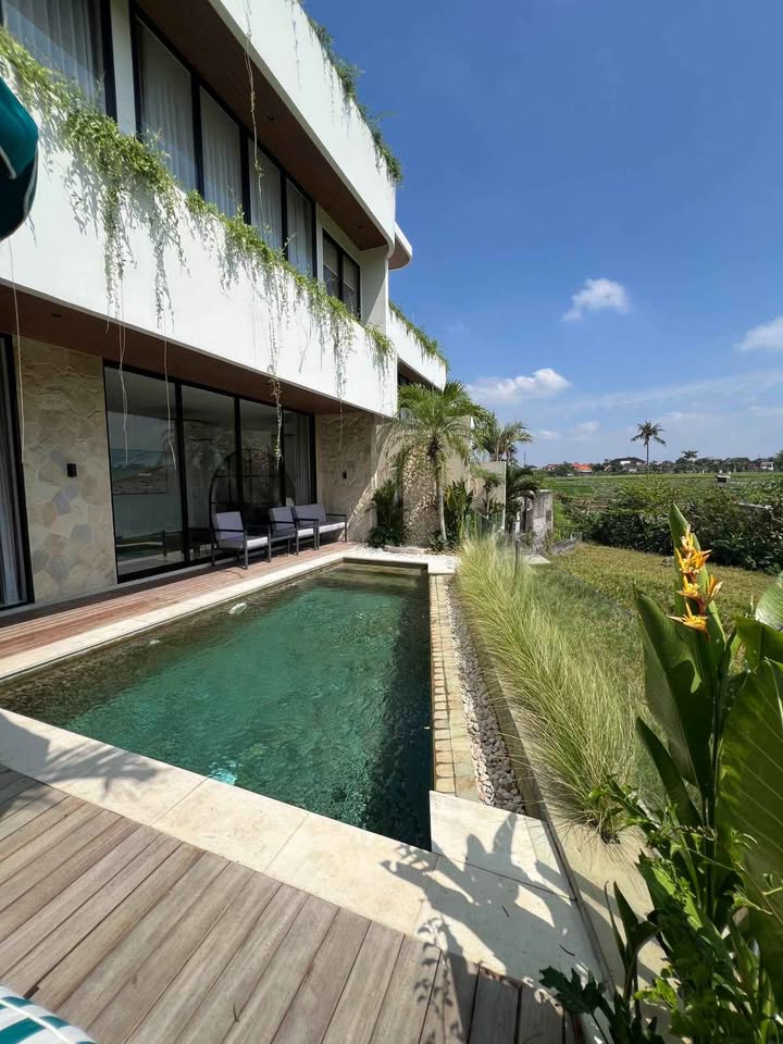 Villa baru padonan canggu, 3-bed villa for sale in Padonan, Canggu – photo 6 of 10