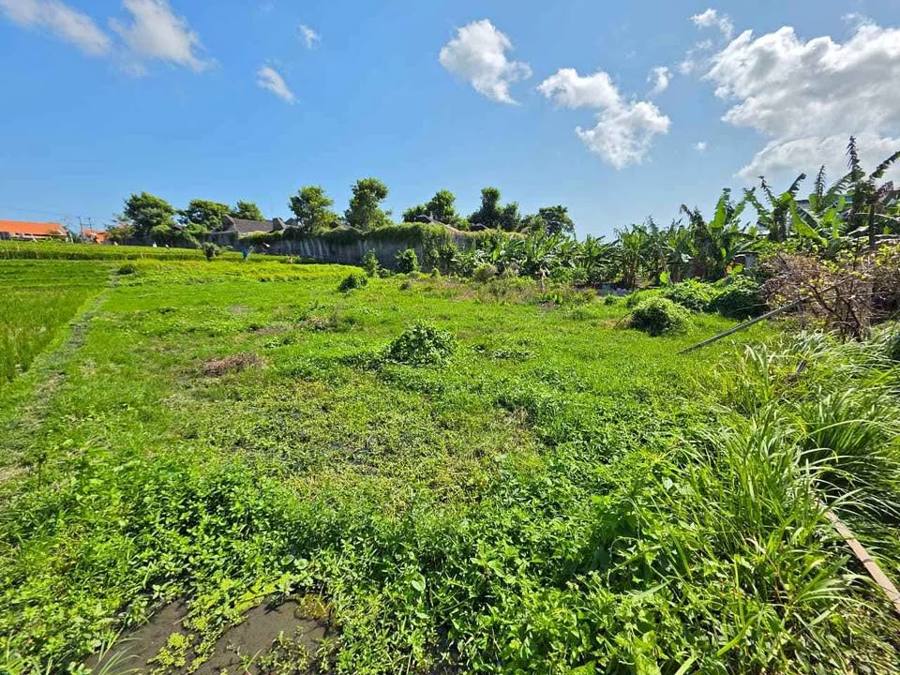 Land for sale in Canggu