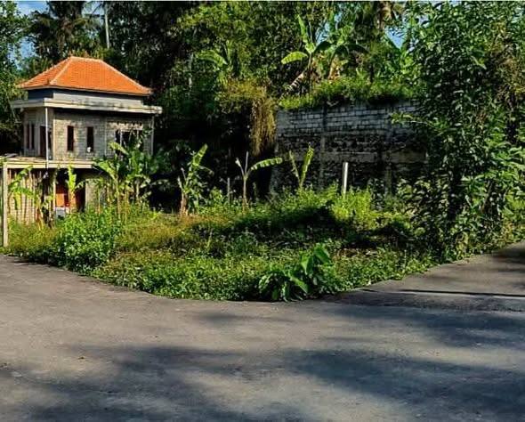 Land for sale in Ubud