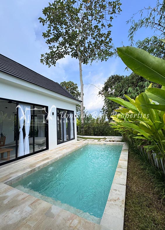 Villa Calito Kaba Kaba, 2-bed villa for rent in Mengwi – photo 5 of 15