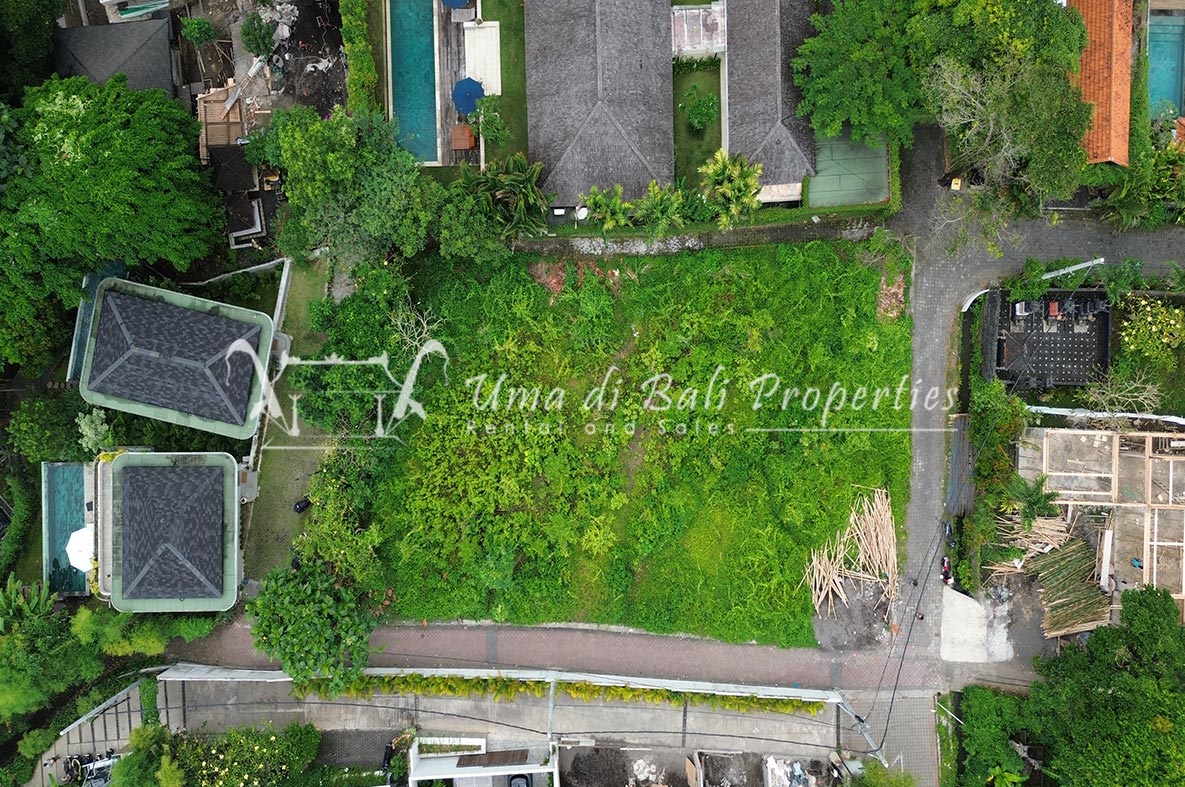 Land For Lease In Tiyingtutul, Canggu, Land for sale in Pererenan – photo 4 of 4