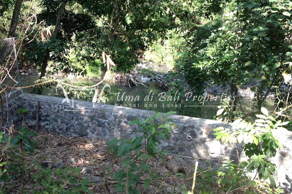 Land for Sale in Nyanyi Beach, Land for sale in Seseh – photo 5 of 6