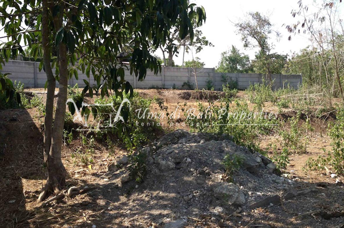 Land for Sale in Nyanyi Beach, Land for sale in Seseh – photo 4 of 6