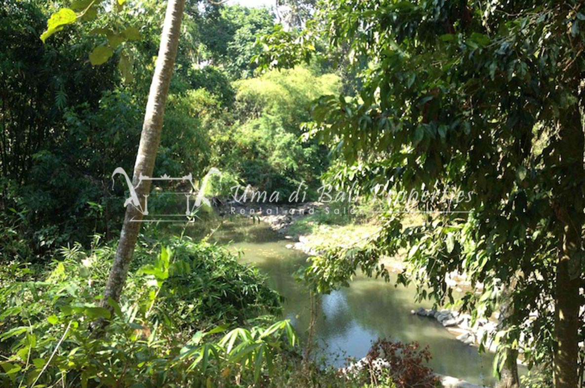Land for Sale in Nyanyi Beach, Land for sale in Seseh – photo 6 of 6