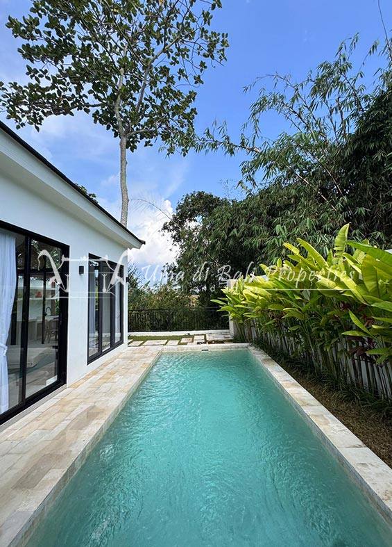 2-bed villa for rent in Mengwi