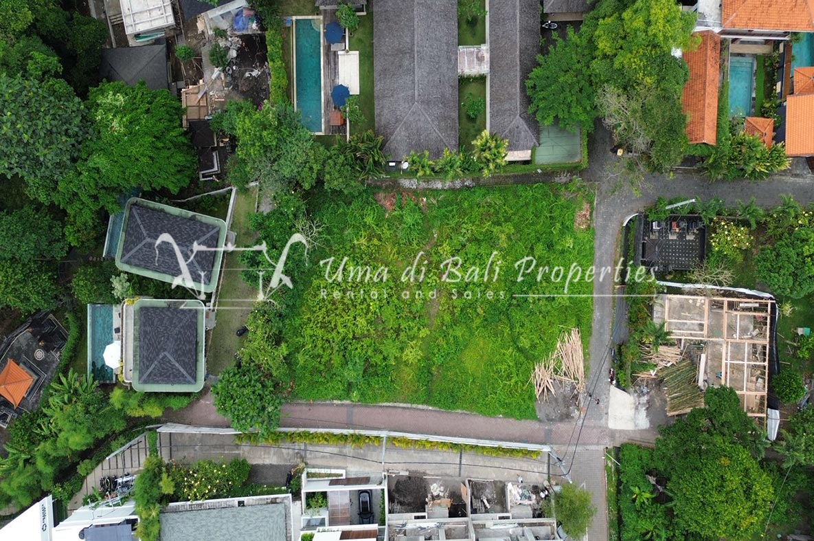 Land For Lease In Tiyingtutul, Canggu, Land for sale in Pererenan – photo 3 of 4