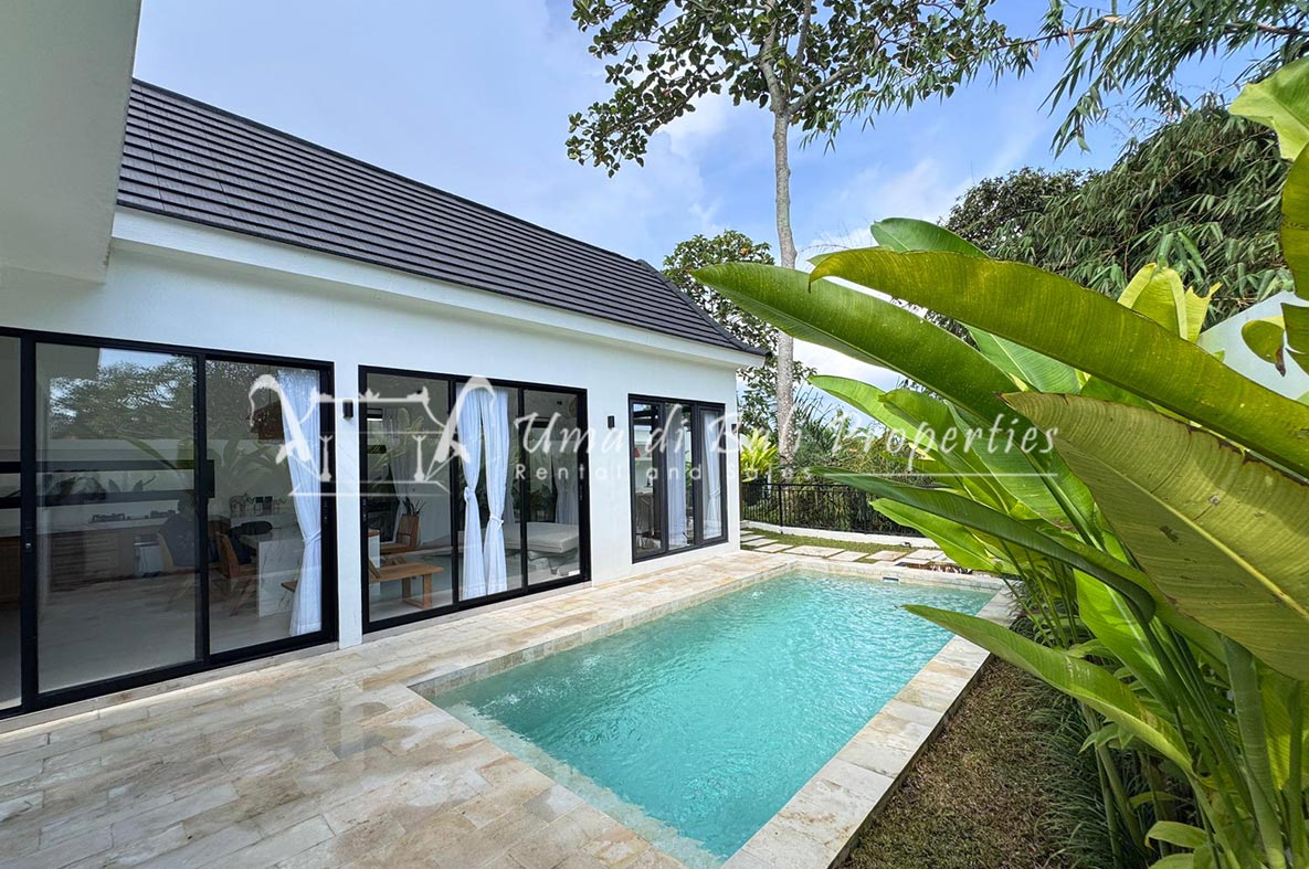 Villa Calito Kaba Kaba, 2-bed villa for rent in Mengwi – photo 2 of 15