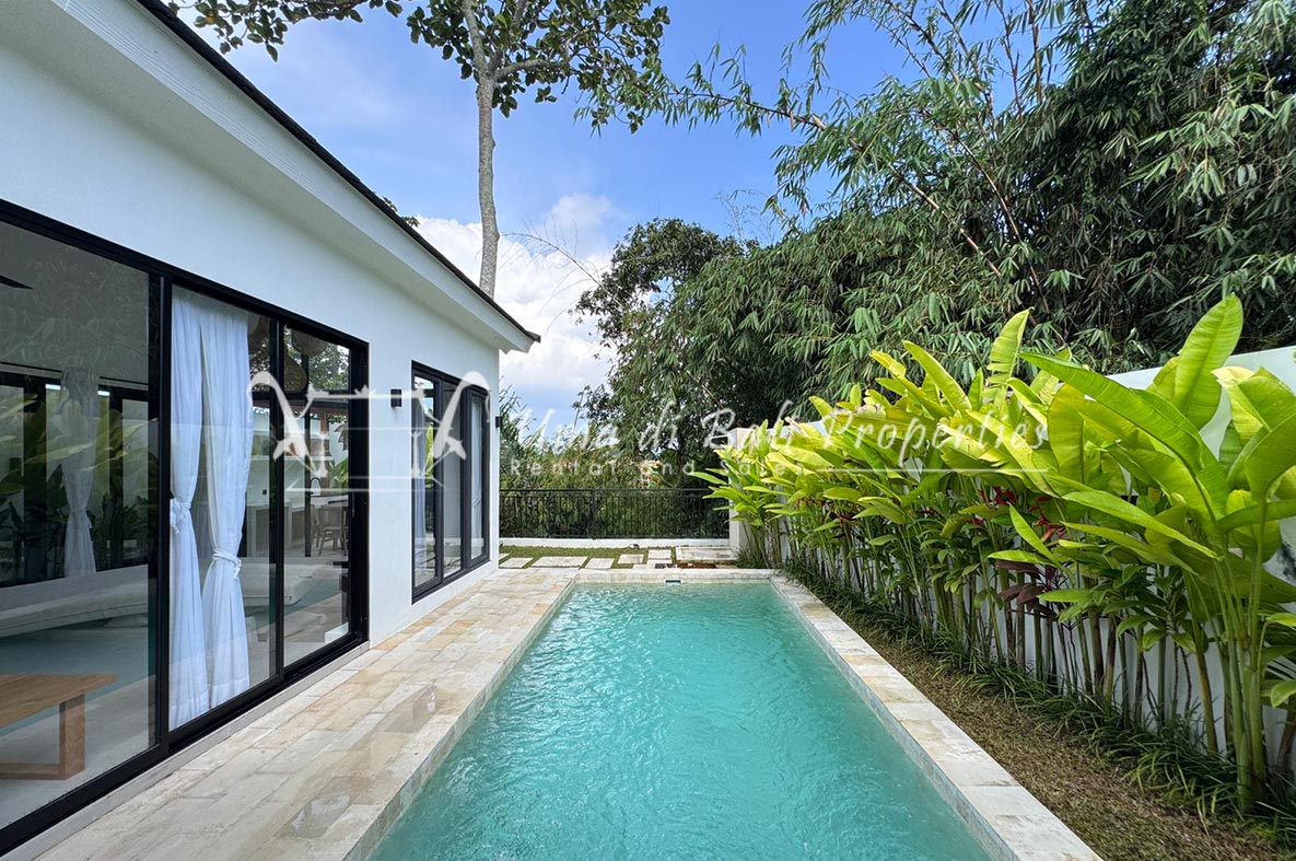 Villa Calito Kaba Kaba, 2-bed villa for rent in Mengwi – photo 3 of 15
